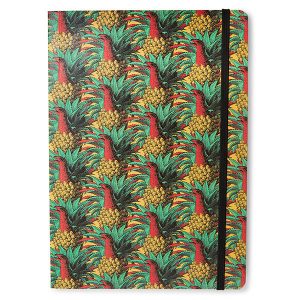 CARNET A5_ANANANOSAURE_GD229