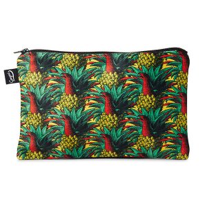 POCHETTE M_ANANANOSAURE_GD287