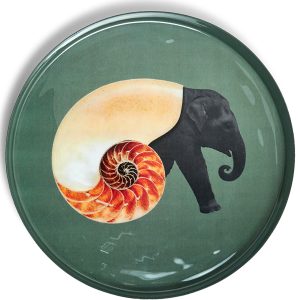 PLATEAU ROND_SHELLEPHANT_GD386