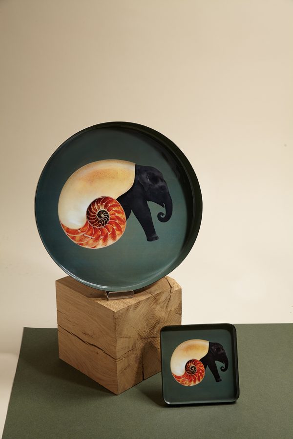 PLATEAU ROND_SHELLEPHANT_GD386 – Image 5