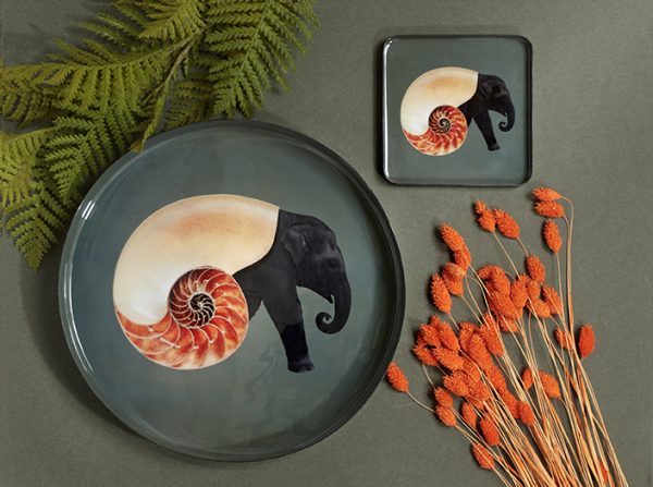 PLATEAU ROND_SHELLEPHANT_GD386 – Image 3