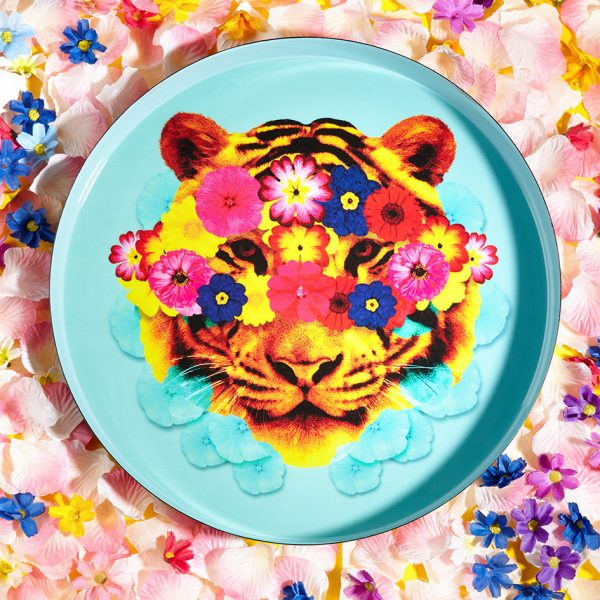 PLATEAU ROND_MASKTIGER_GD473 – Image 3