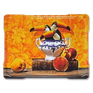 PLATEAU_LOS TOUCANOS_GD489