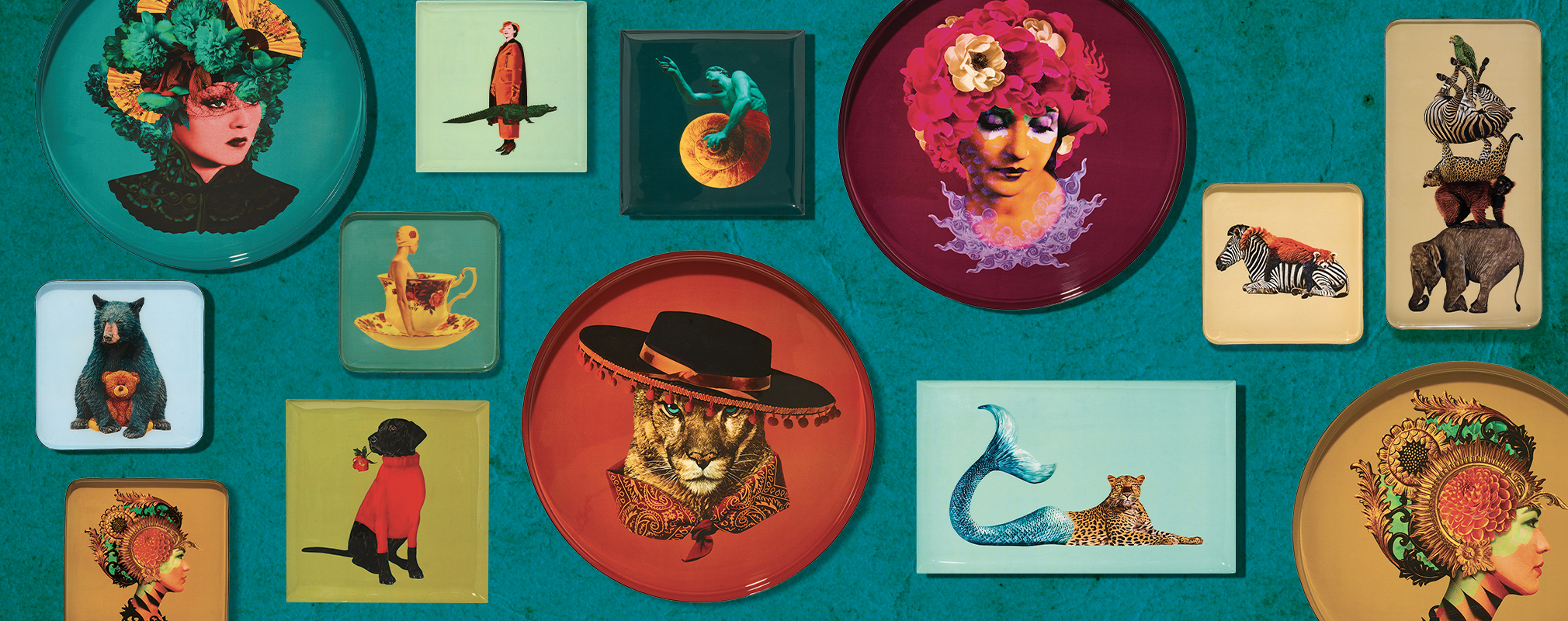 CURIOSITO COLLECTION