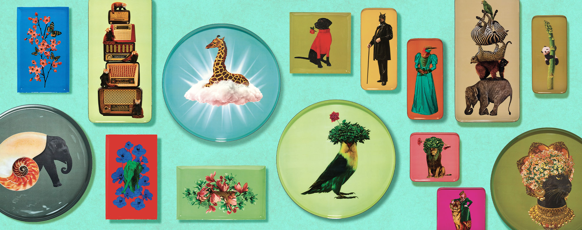 CURIOSITO COLLECTION