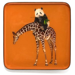 VIDE POCHE CARRÉ_BANDIPANDA_GD712