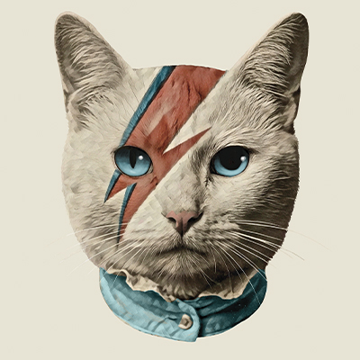 DAVID