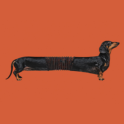 TANGO