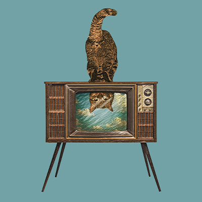 TELECHAT