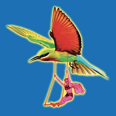 PHOENIX CIRCUS