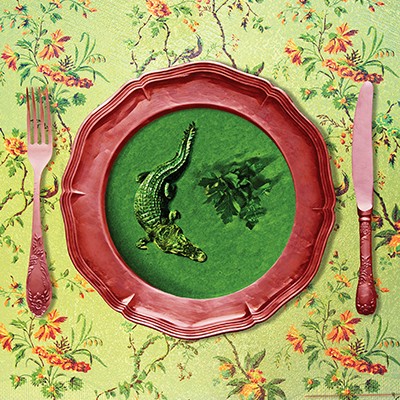 CROCOSOUP
