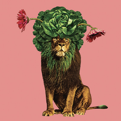 LEO
