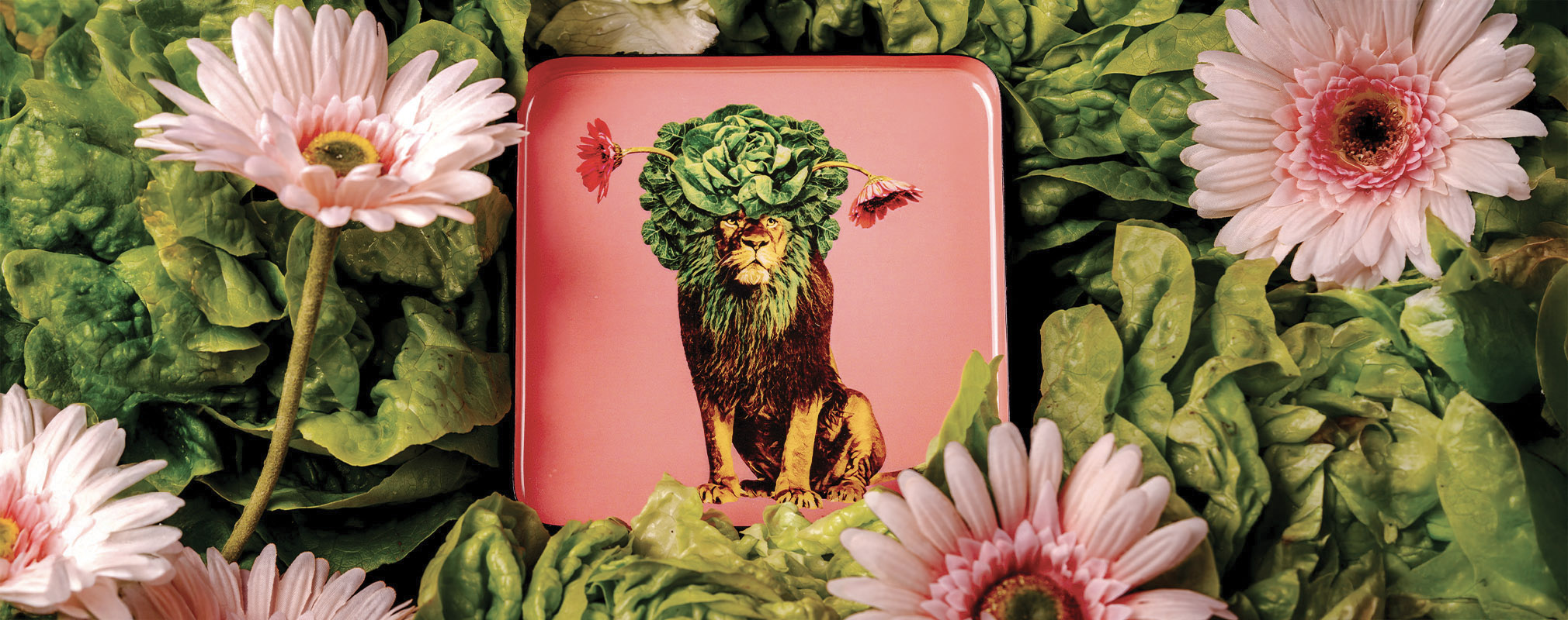 SQUARE TRINKET TRAYS
