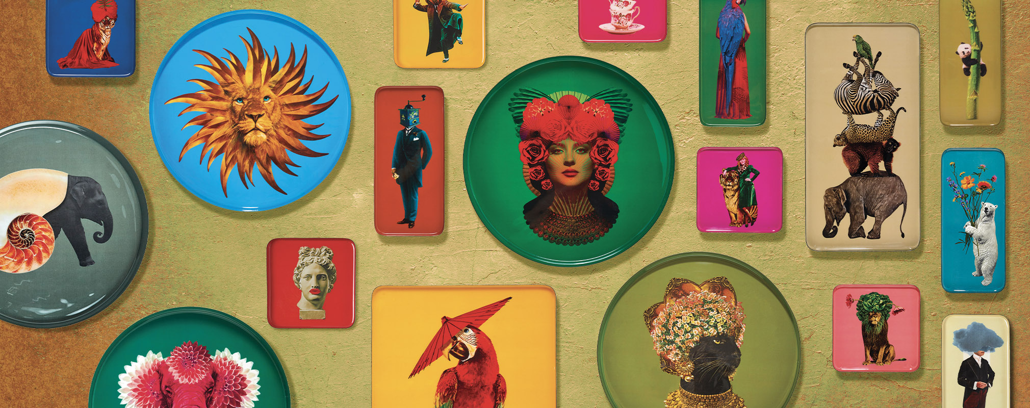 CURIOSITO COLLECTION