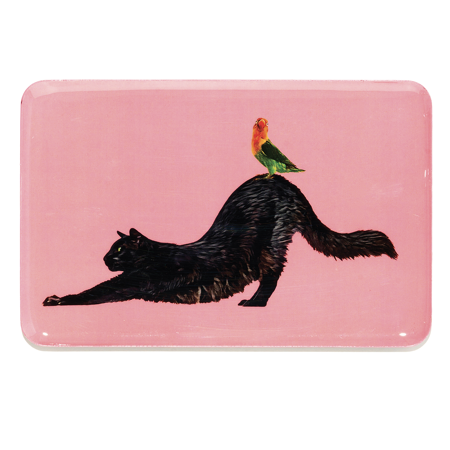 VIDE POCHE RECTANGULAIRE_AMIGOS_GD708
